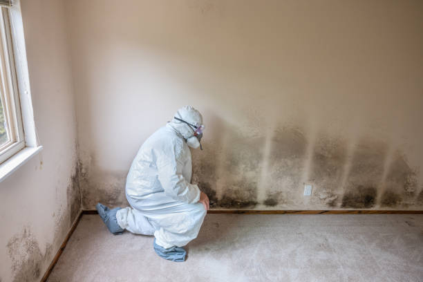 Best HVAC Mold Remediation in Badin, NC